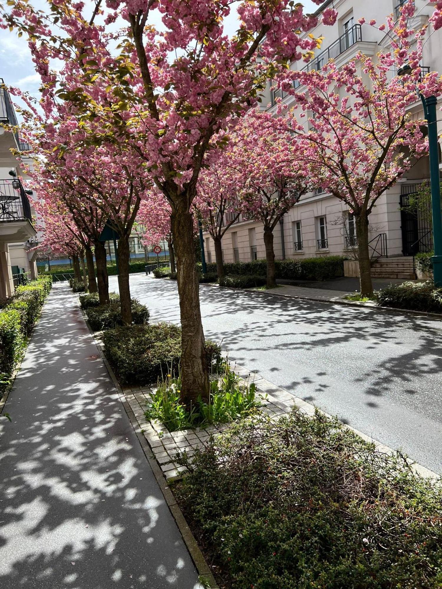 Sweet Appartement Disneyland Paris Parking 300M Station Val D'Europe Chessy  Exterior photo